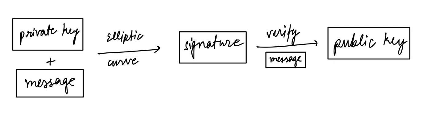 Flowchart showing the creation and verification of a digital signature using an elliptic curve, private key, message, and public key